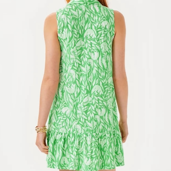 Lilly Pulitzer Riegan Fauna Green and White Dress Size XXS - Picture 2 of 11